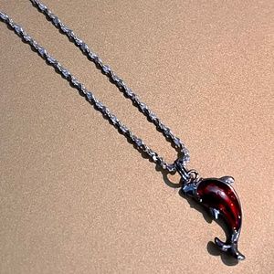 Silver Rope Necklace With Dolphin Charm..NWOT